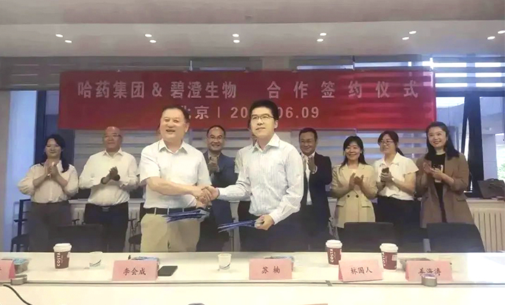 哈药携手清华大学，强强联合共创胶原蛋白行业未来